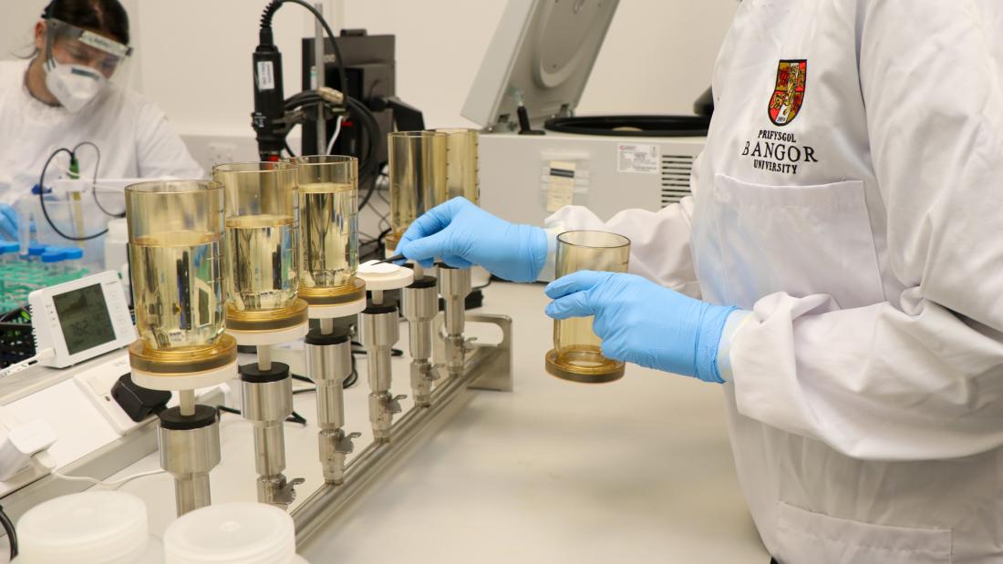 Social sharing card for Bangor project will use wastewater as a global early-warning system for future pandemics