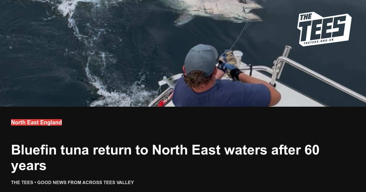 Social sharing card for Bluefin tuna return to North East waters after 60 years