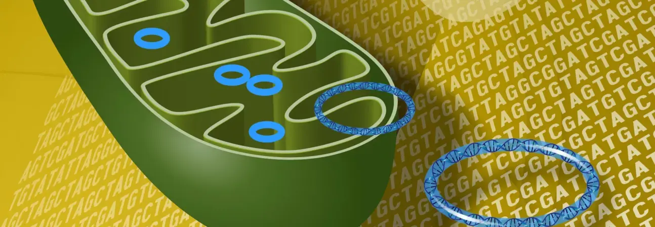 Social sharing card for Cambridge will lead £50m centre searching for treatments for mitochondrial DNA diseases