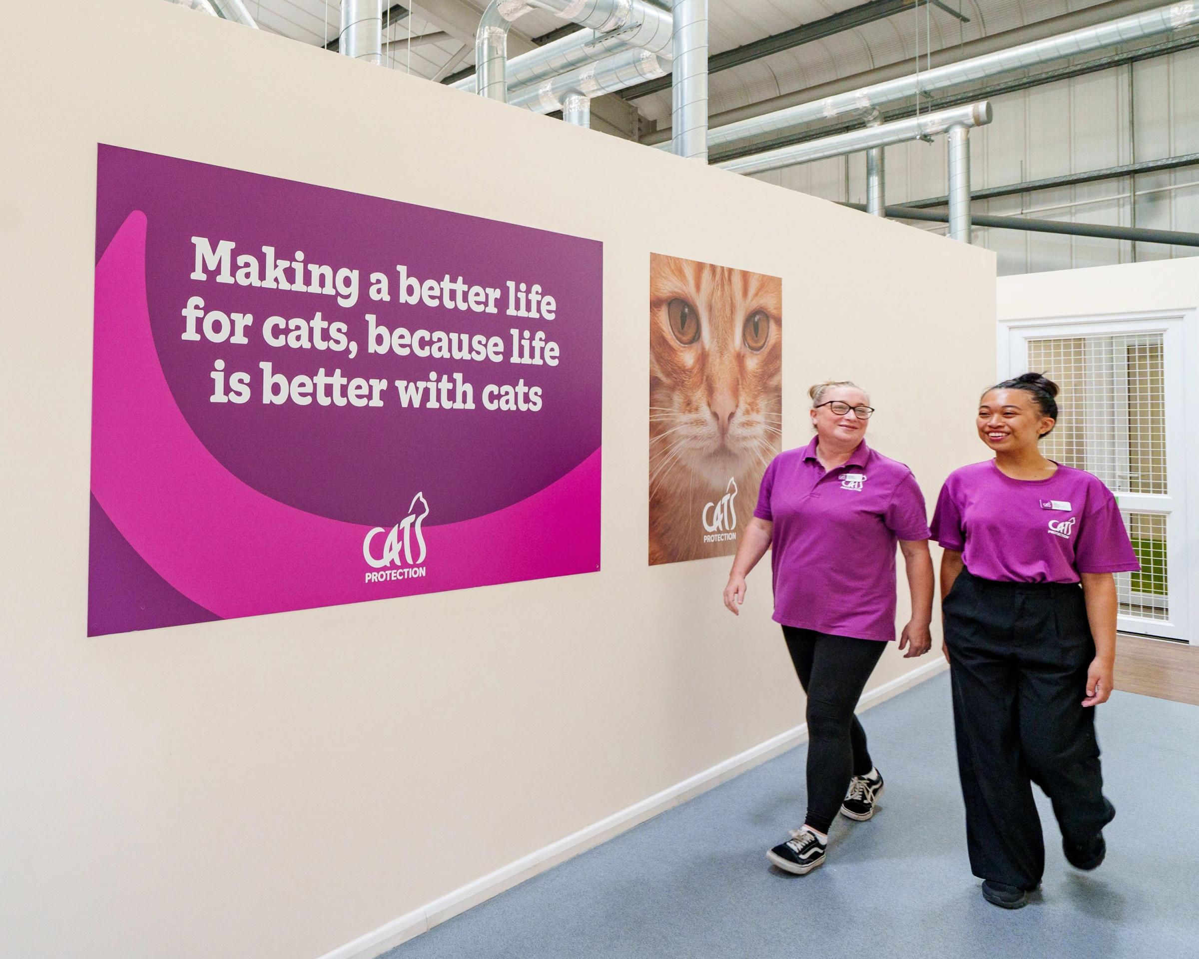 Social sharing card for Cats Protection seeks helpers across North Wales