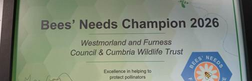 Social sharing card for Pollinator project creates 4.2 hectares of nature-rich habitat across Cumbria