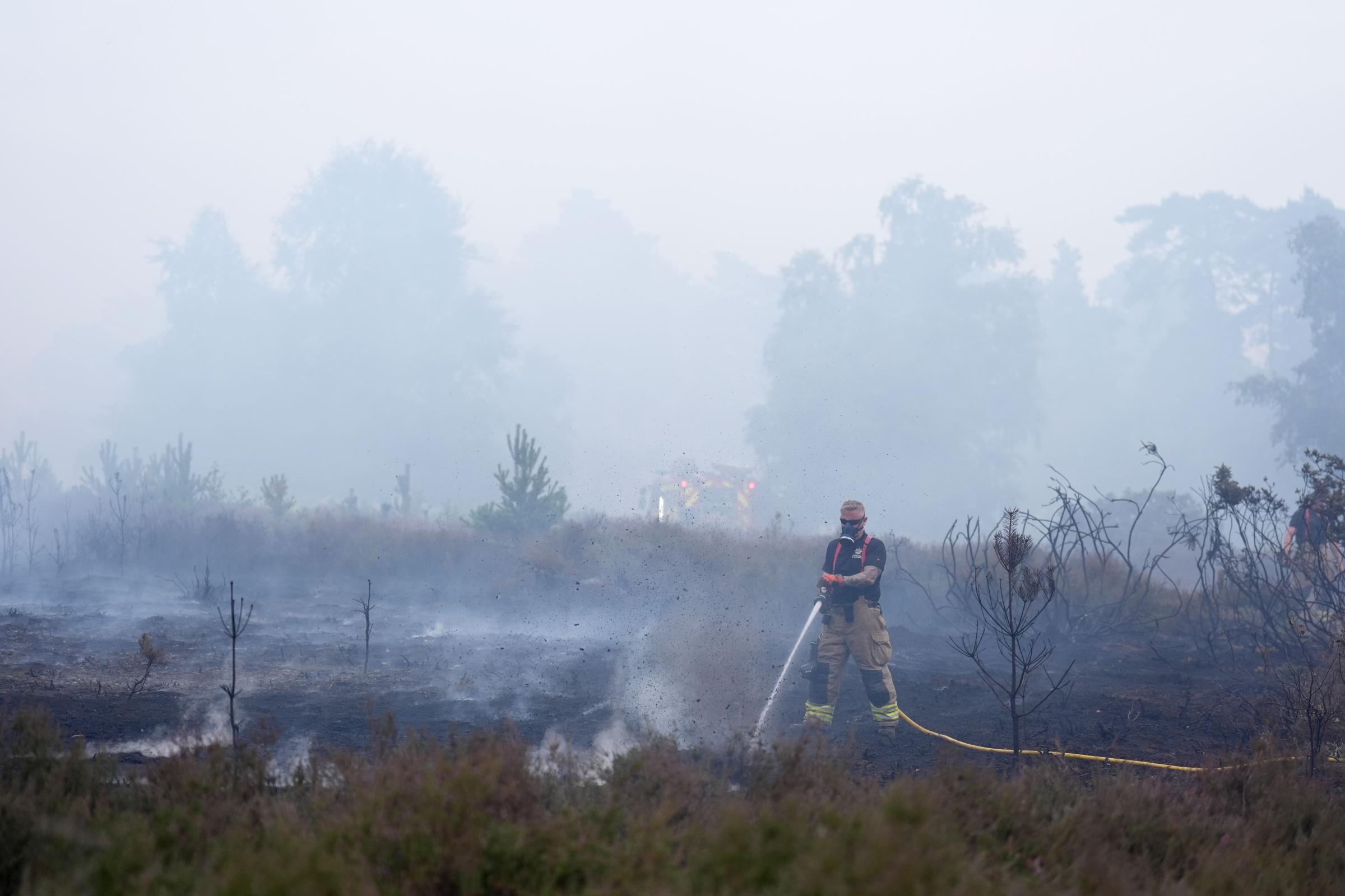 Social sharing card for Dunwich Heath appeal races towards £500,000 target as recovery work begins to take shape