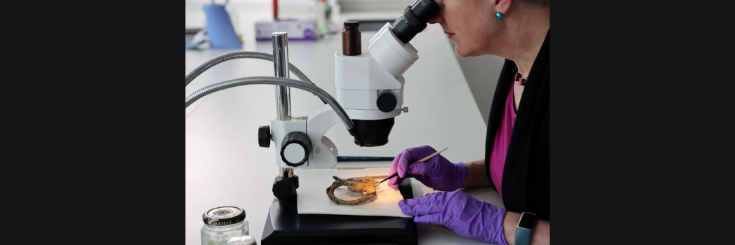 Social sharing card for £500,000 grant will help Durham researchers protect fragile heritage without damaging it