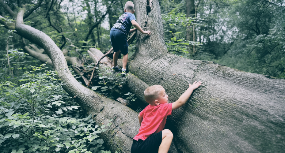 Social sharing card for New Exeter centre will study how to give children more freedom to play outdoors