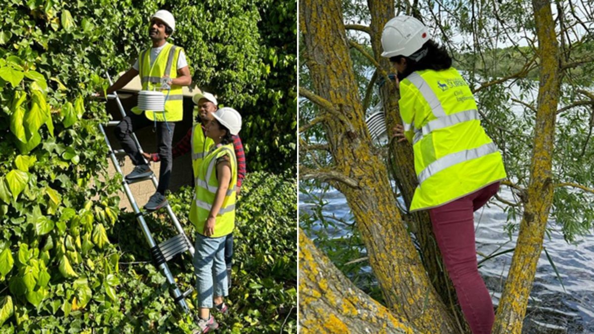 Social sharing card for Three-year Guildford study finds woodland can be 4.5°C cooler during extreme heat