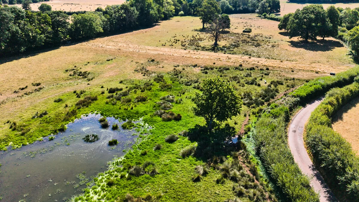 Social sharing card for Restored Somerset wetlands stay green through extreme summer heat while surrounding land dries out