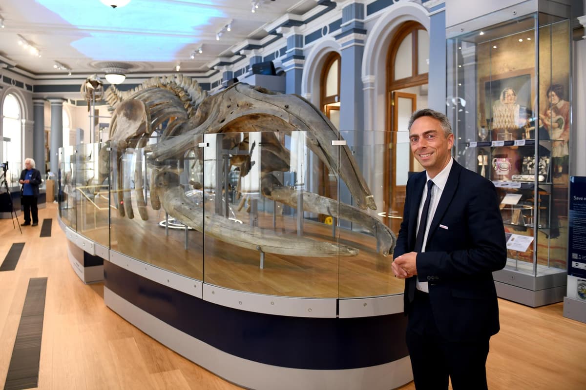 Social sharing card for Hull Maritime Museum welcomes thousands back after £20.4m transformation