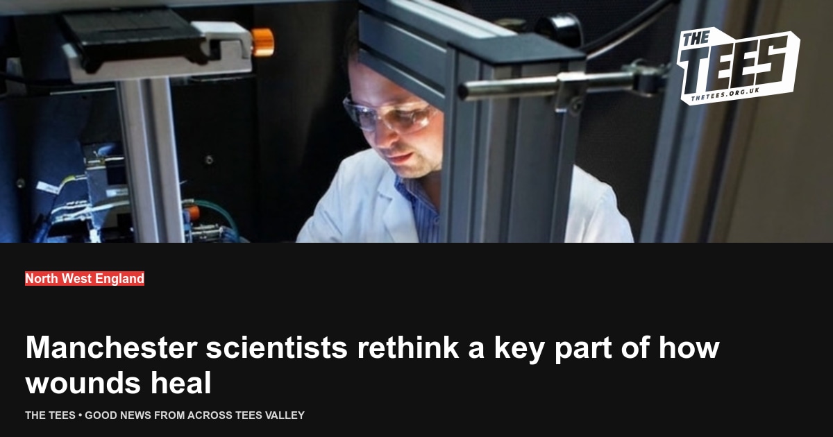 Social sharing card for Manchester scientists rethink a key part of how wounds heal
