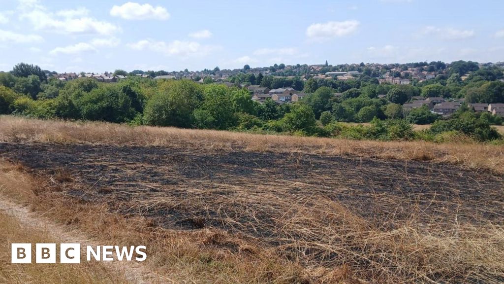 Social sharing card for Nature reserve hit by 10 fires in a few weeks