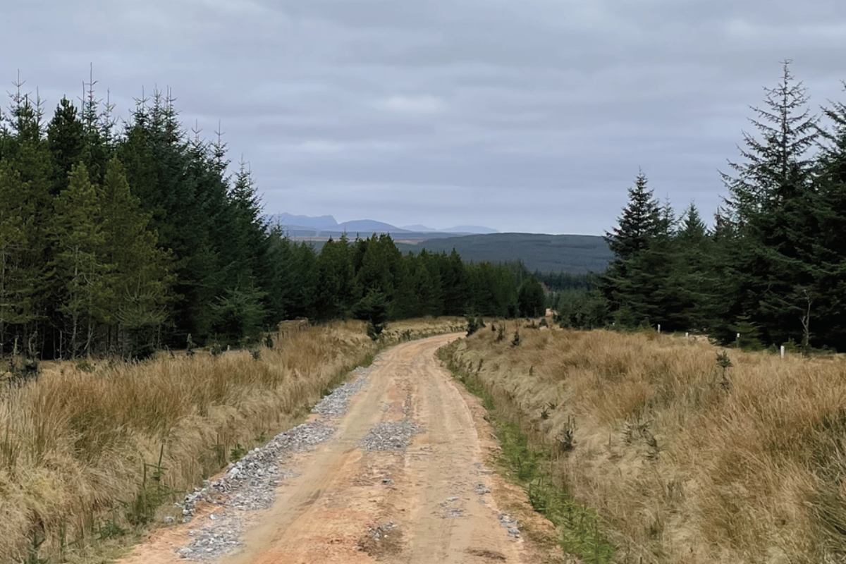 Social sharing card for New Highland wind farm project could power nearly 100,000 homes