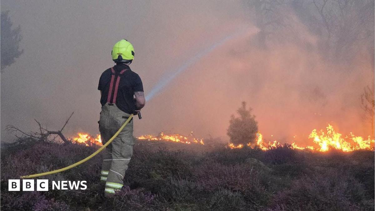 Social sharing card for NHS must plan for heat and wildfires, says expert