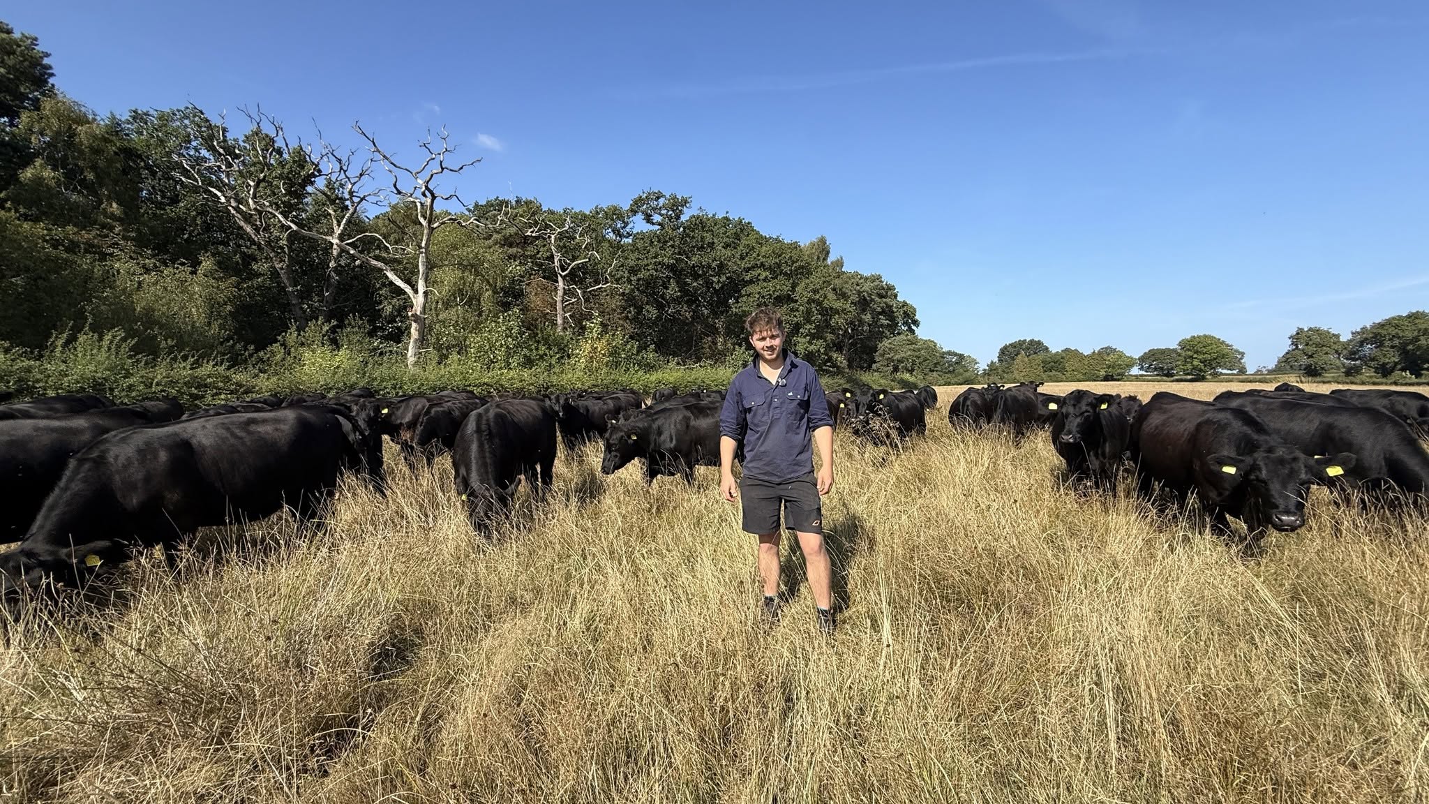 Social sharing card for Pedigree cattle introduce natural grazing to Rostherne Mere