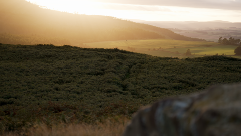 Social sharing card for Rothbury nature appeal passes £26m as £30m goal moves within reach