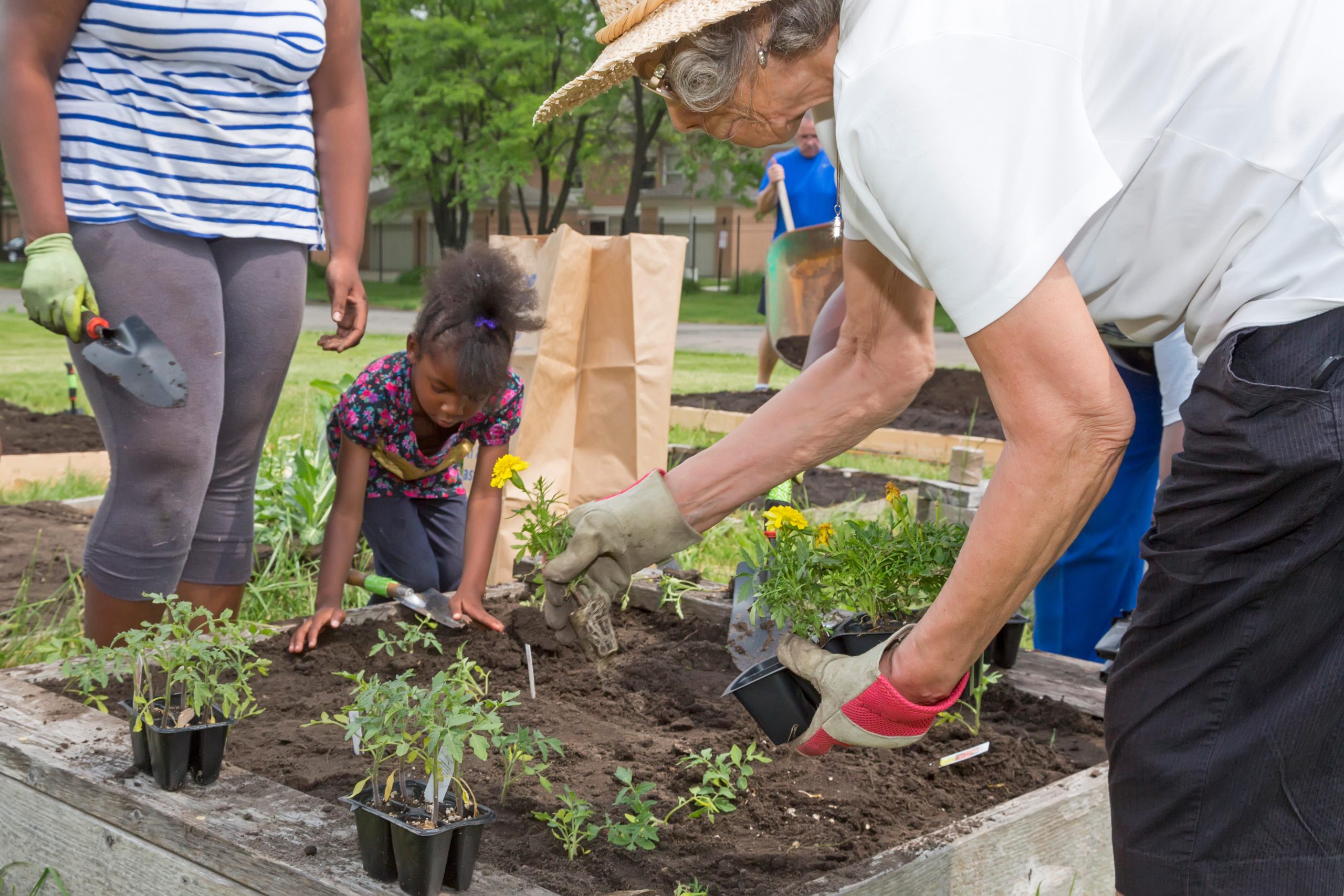 Social sharing card for Shrewsbury turns disused town-centre plot into a community garden