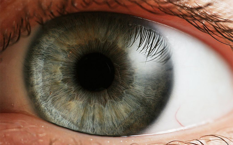 Social sharing card for Stem cell treatment improves sight in first trial for previously untreatable rare eye condition
