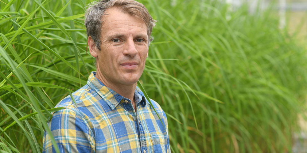Social sharing card for York scientist receives £6m to study the tiny algae doing half the planet’s carbon-catching work